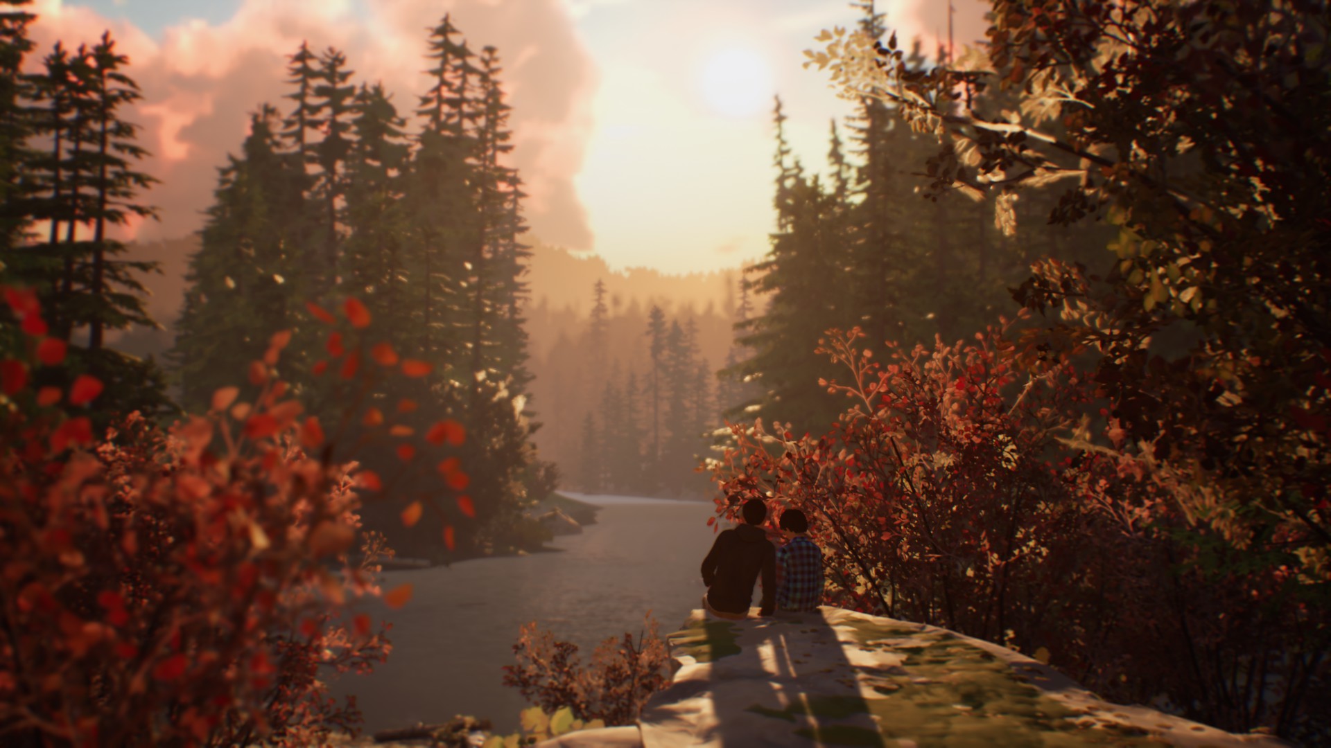 Paysages dans Life is Strange 2